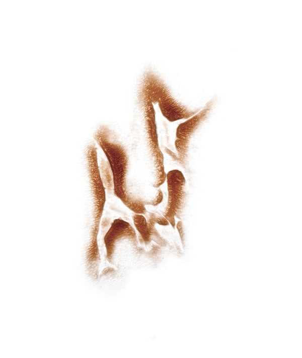 Animal Attack 5