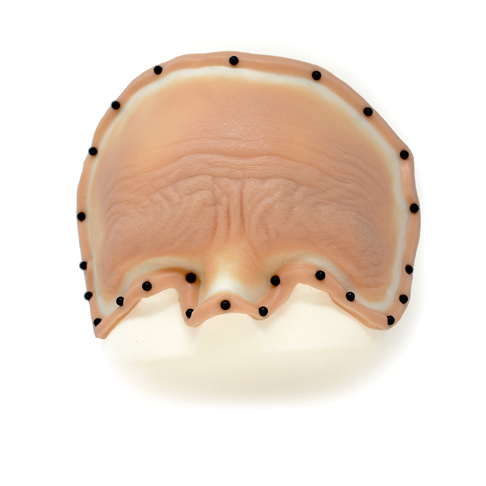 Female Old Age Forehead