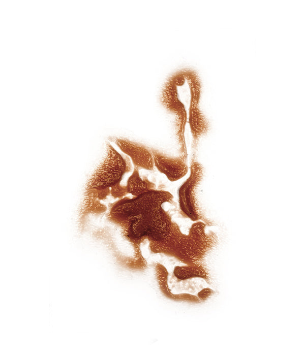 Animal Attack 9