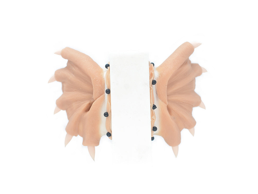 Dragon Ears 1