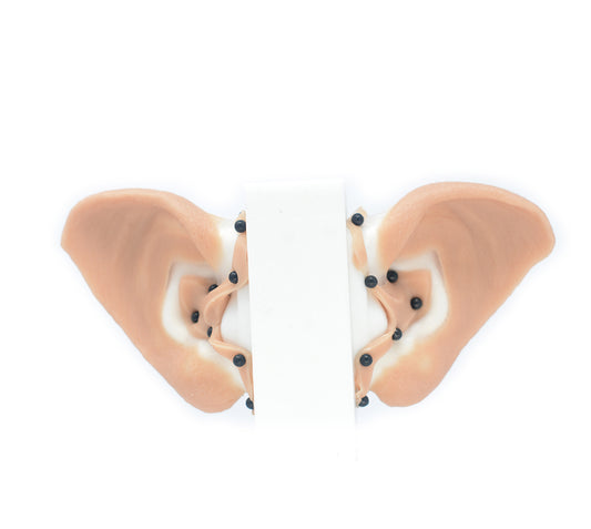 Werewolf Ears 1