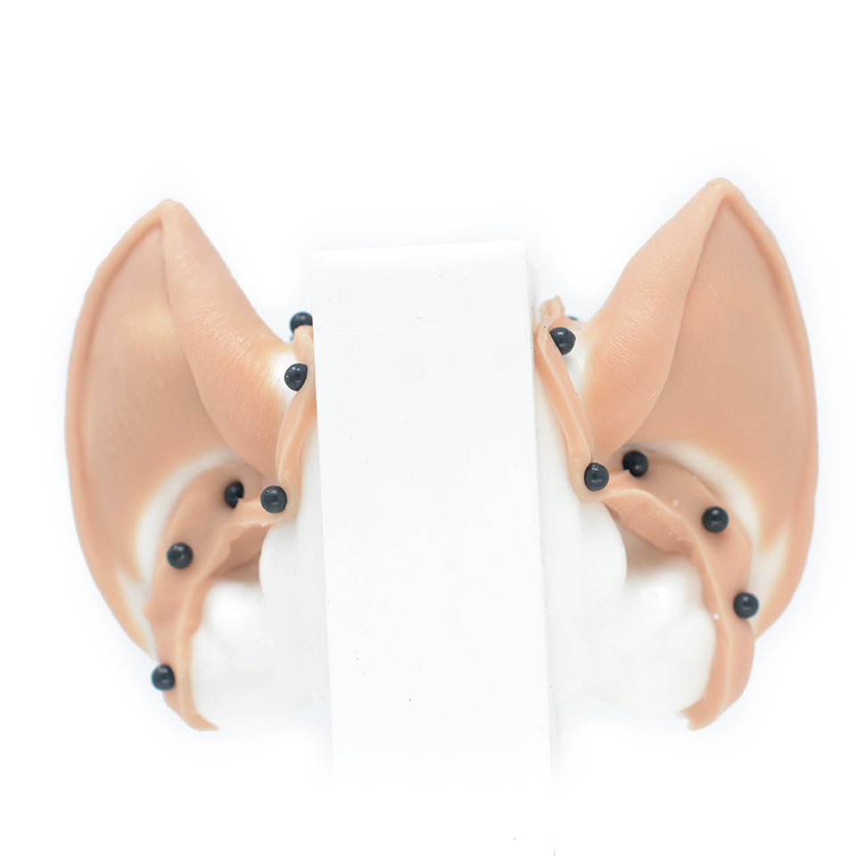 Alien Ears 1