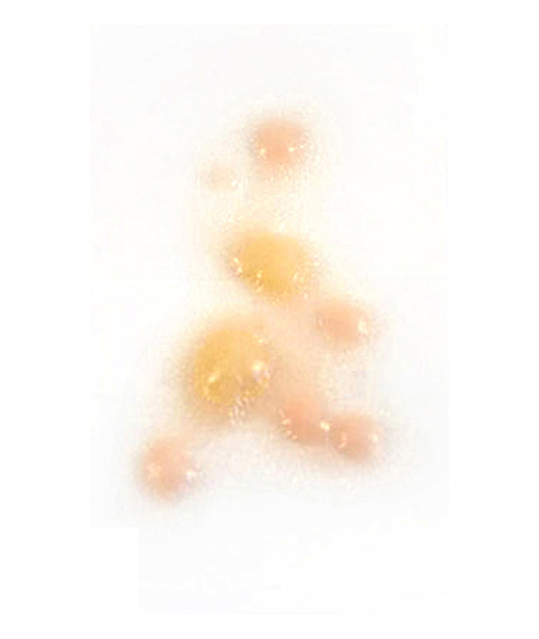 Infectious Disease (Large)