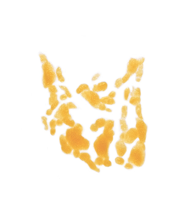 Blister cluster 3