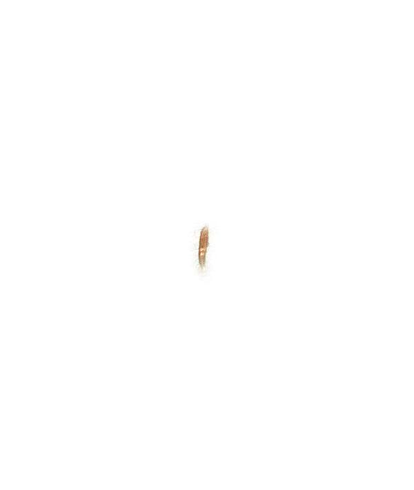 Micro Scar