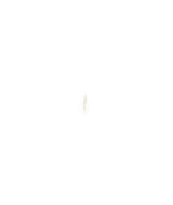 Micro Scar