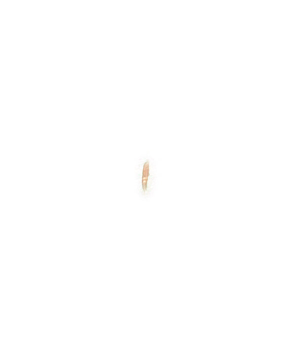 Micro Scar