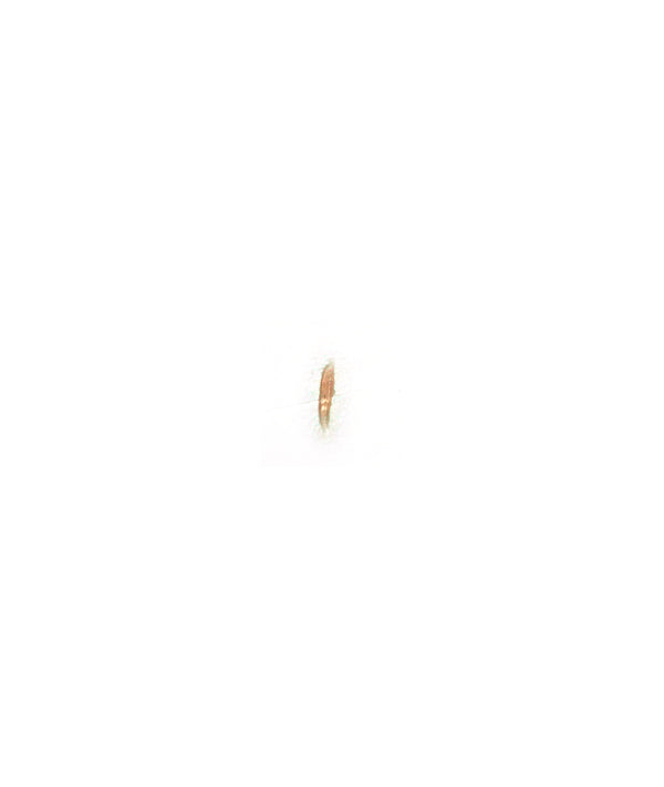 Micro Scar