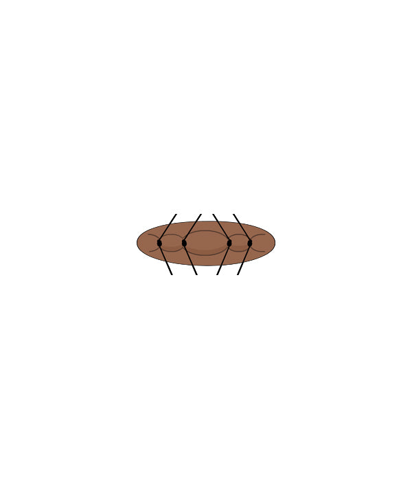 Micro Suture 4 Stitch