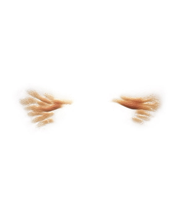 Male Crows Feet 1