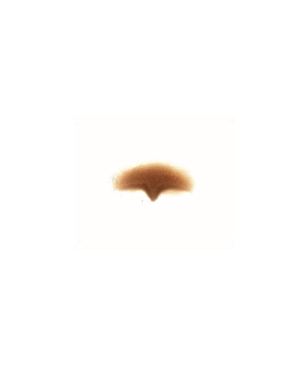 Zombie Nose Bridge 1