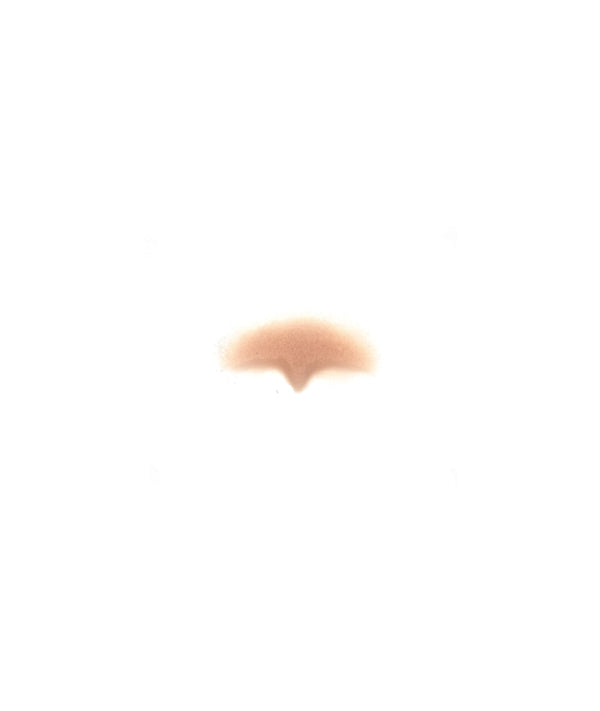 Zombie Nose Bridge 1