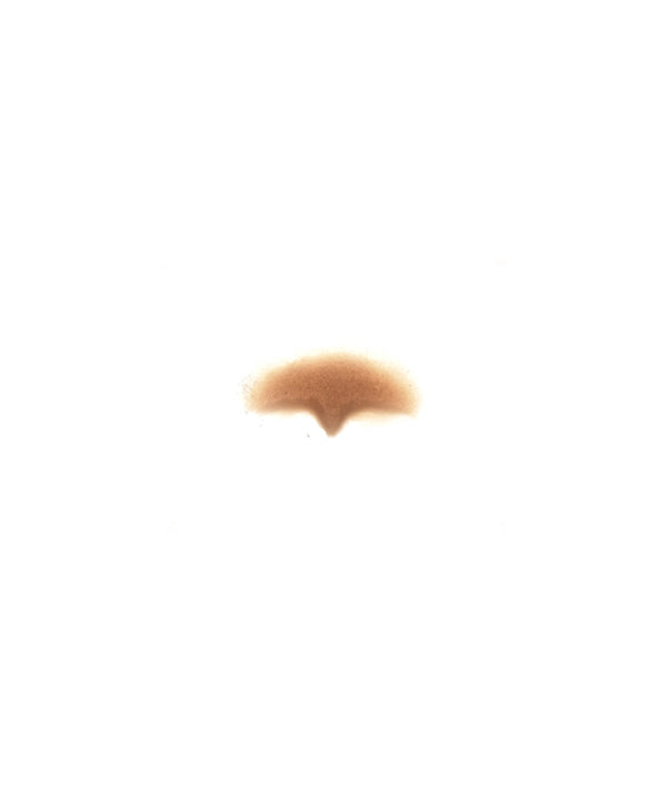 Zombie Nose Bridge 1