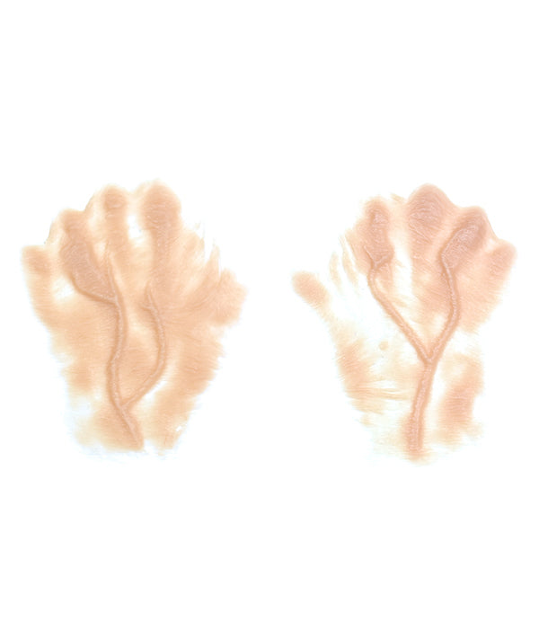Male Old Age Back of Hands 1