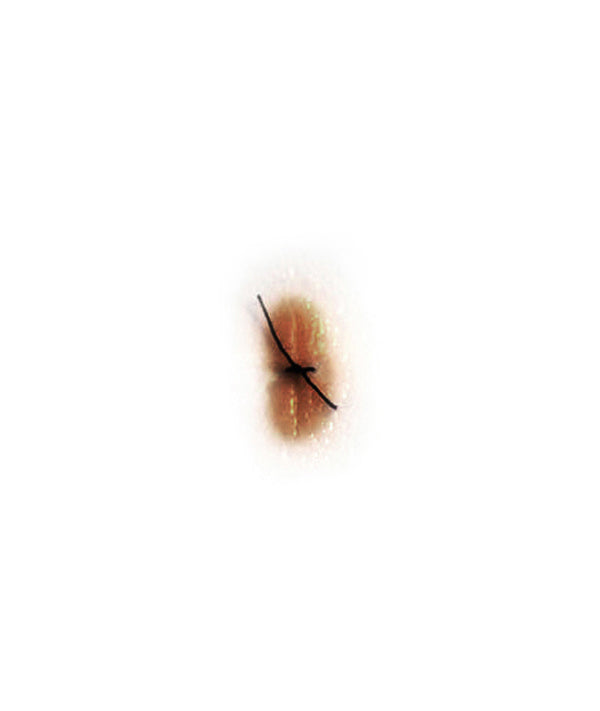 Sutured Wound (Small)