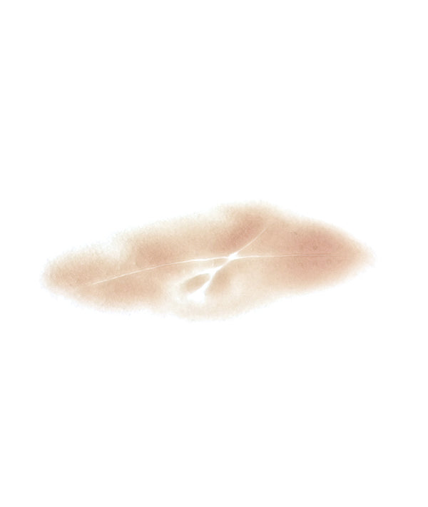 Sunken X Scar