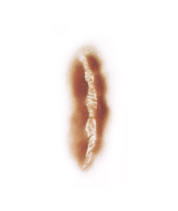 Medium Body Scar