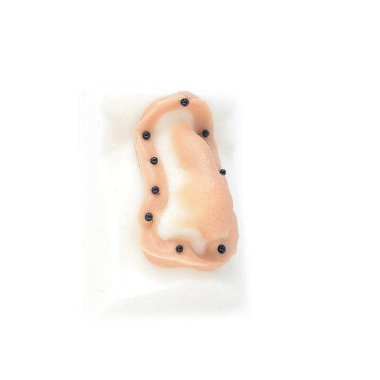 Female Nose 14