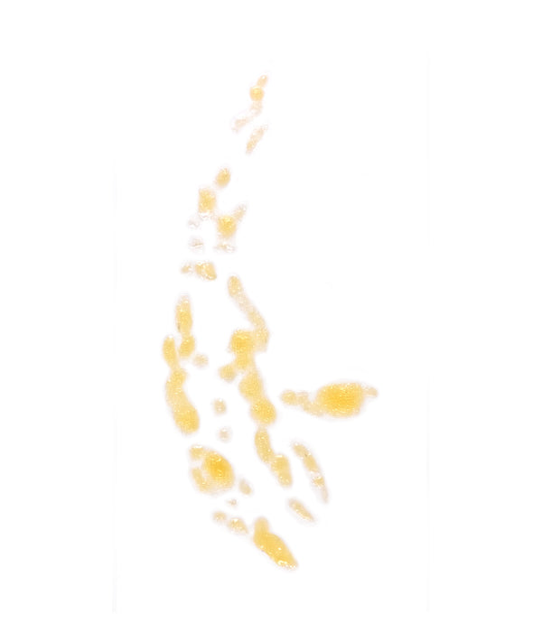Blister cluster 4