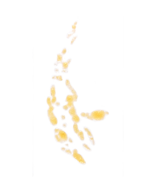 Blister cluster  4