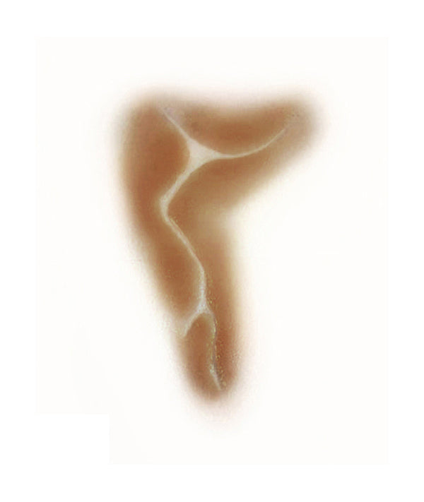 Indentent Character Scar 4