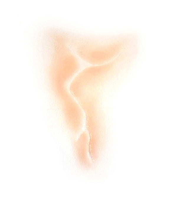 Indentent Character Scar 4