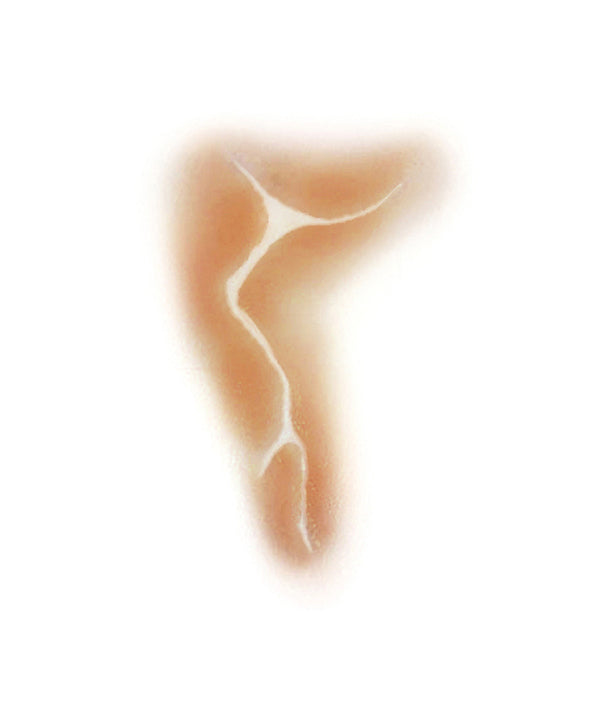 Indentent Character Scar 4