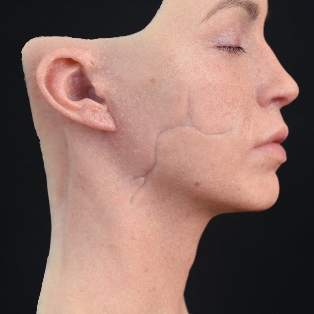 Indentent Character Scar 4