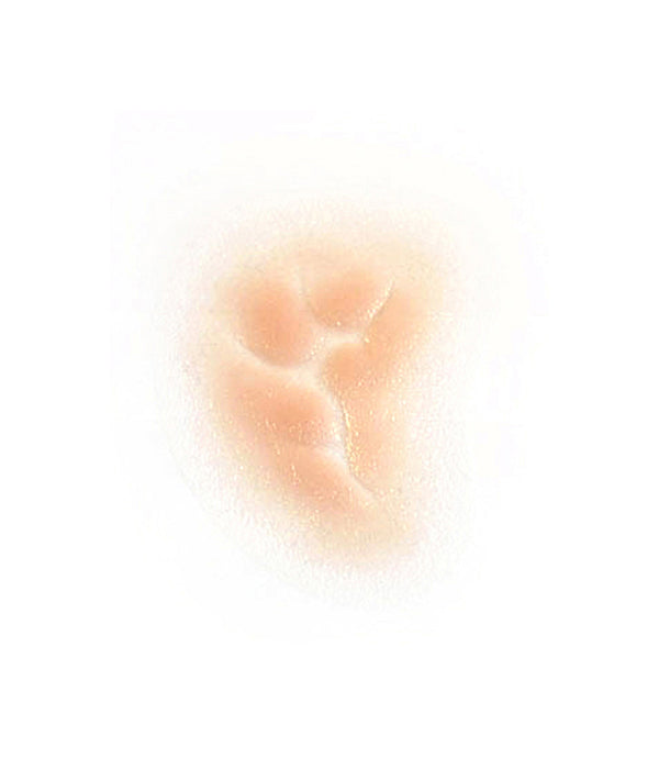 Depressed Character Scar (Small)