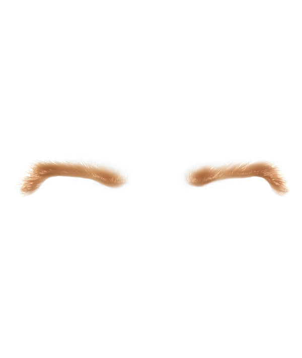 Male Upper Eyelid 1