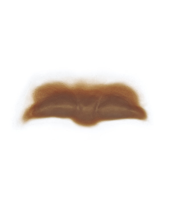 Female Neanderthal Forehead