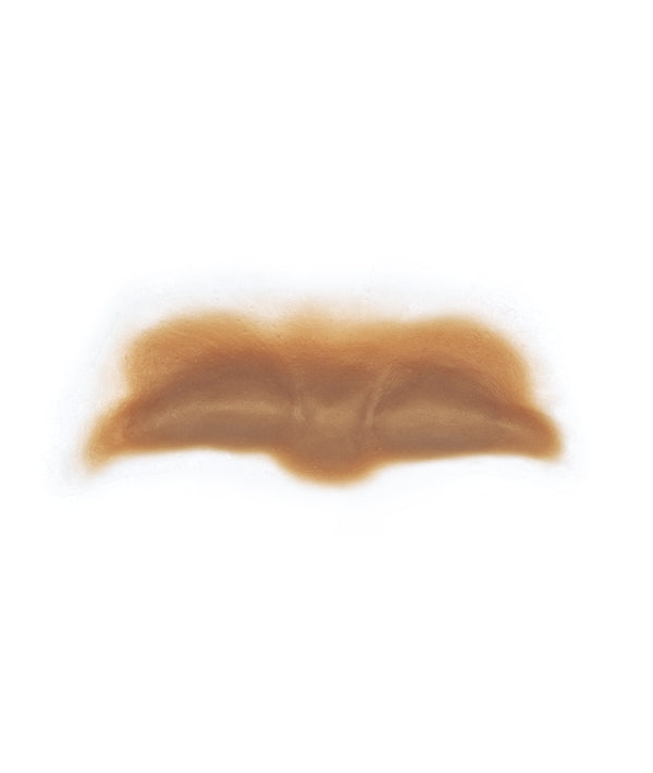 Female Neanderthal Forehead