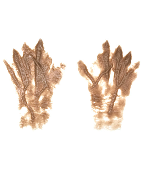 Female Old Age Back of the Hands 4