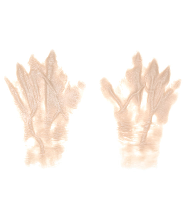 Female Old Age Back of the Hands 4