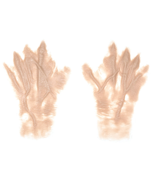 Female Old Age Back of the Hands 4