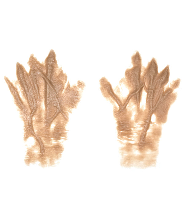 Female Old Age Back of the Hands 4
