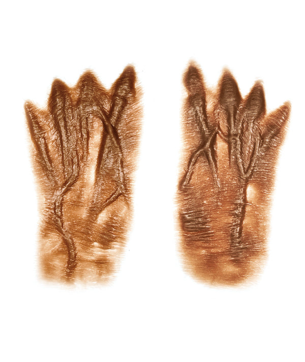 Female Old Age Back of the Hands 2