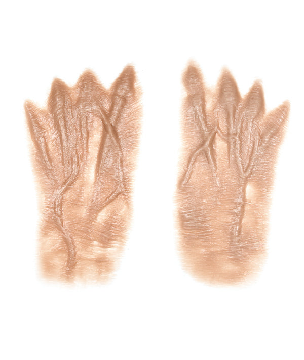 Female Old Age Back of the Hands 2