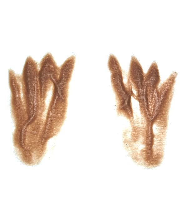 Female Old Age Top of Hands