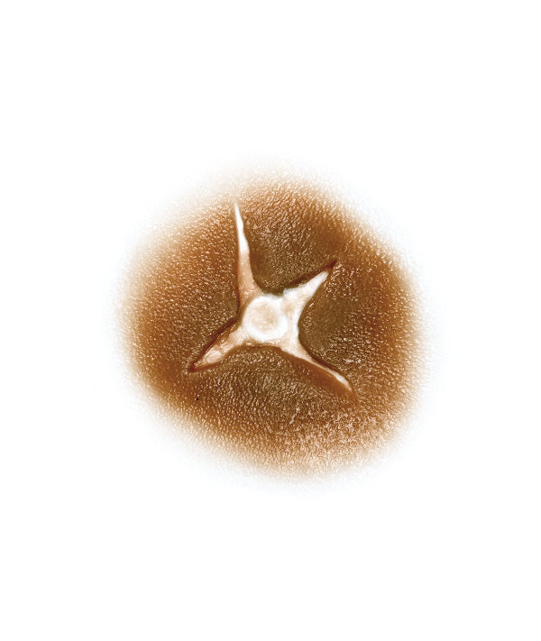 Large Caliber Bullet Hole
