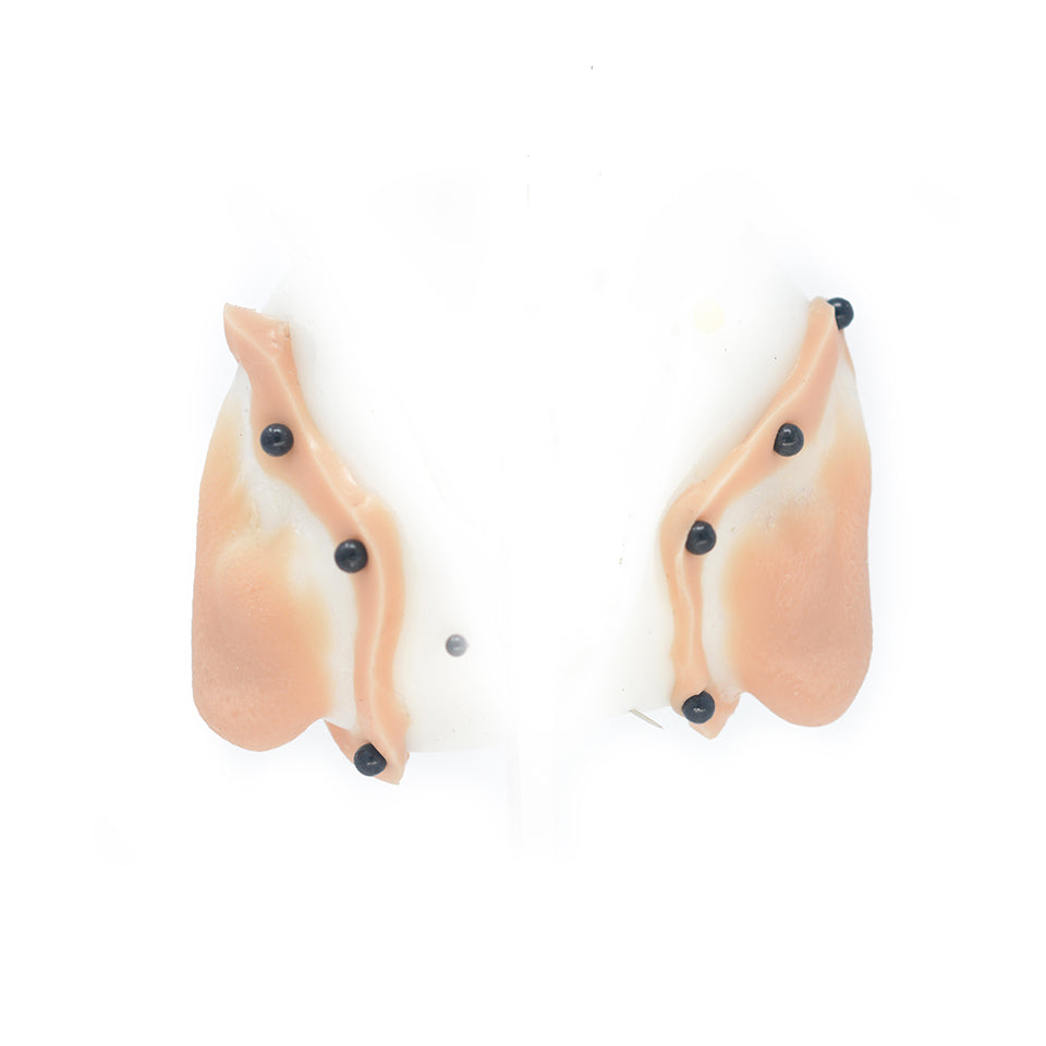 Large Old Age Earlobes 1