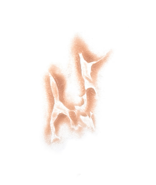 Animal Attack 5