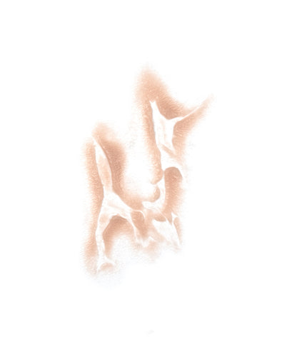 Animal Attack 5