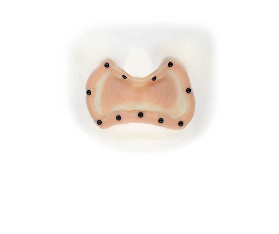 Vampire Upper Lip