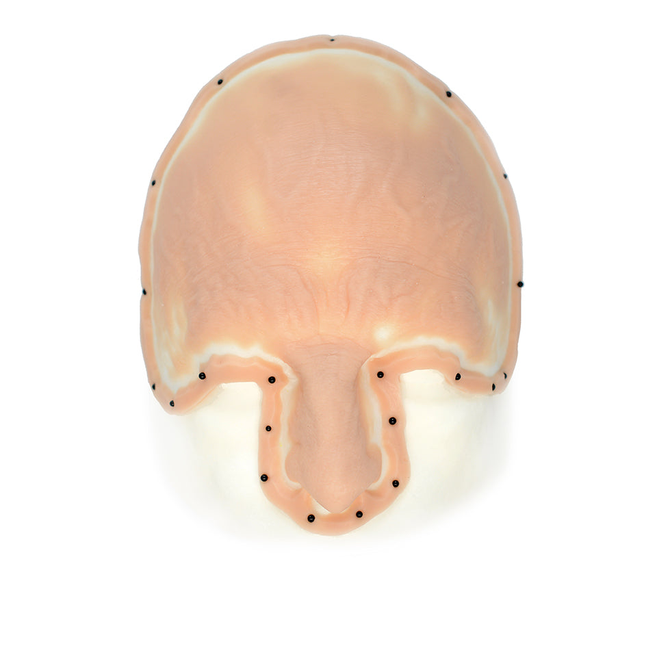 Male Vampire Forehead 2