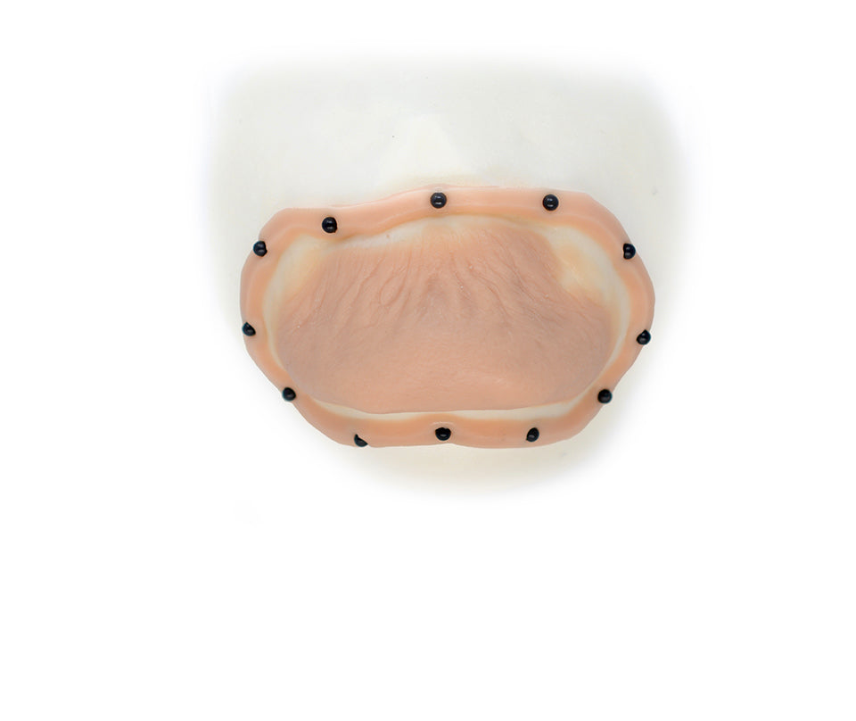 Vampire Chin 2