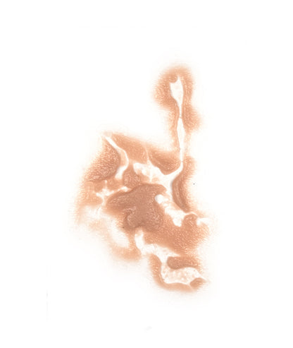 Animal Attack 9
