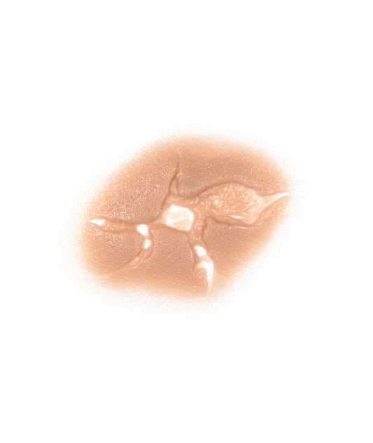 Large Caliber Bullet Hole 2