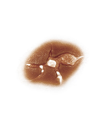 Large Caliber Bullet Hole 2