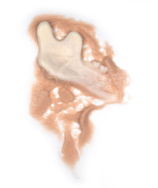 Zombie Jaw Bone Right